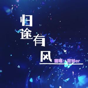 归途有风
