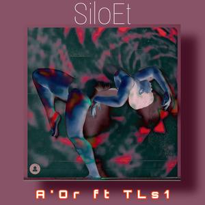 SiloET
