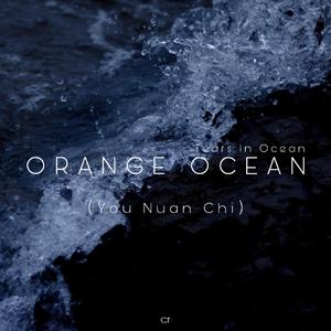 有暖气（You Nuan Chi）（翻自 橘子海 (Orange Ocean)）