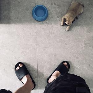 格格不入（prod。田由甲）