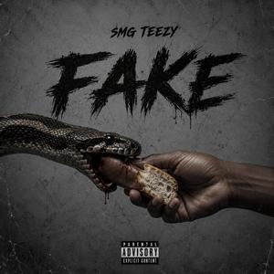 Fake