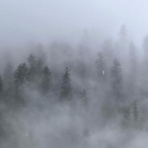 PARVATI PARVAT (feat. RANA JI & J-PUNK)