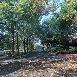 西财天府爱情故事 （prod by raspo）