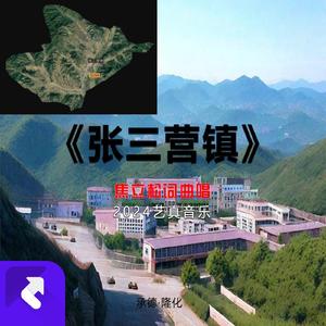 张三营镇 (现场)