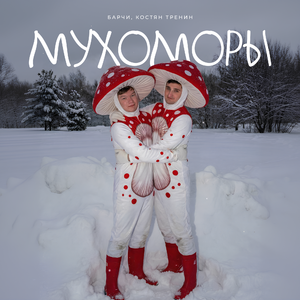 МУХОМОРЫ