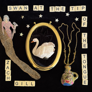 Swan At The Tip Of The Tongue