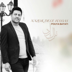 Nazok Dele Hassas (Original Mix)