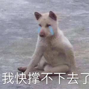 我怎么哭了