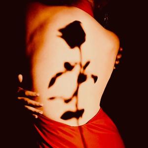 你是我的玫瑰花