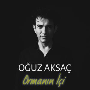 Ormanın İçi