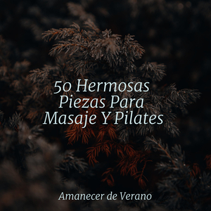 Copos de nieve Sinfonía sagrada