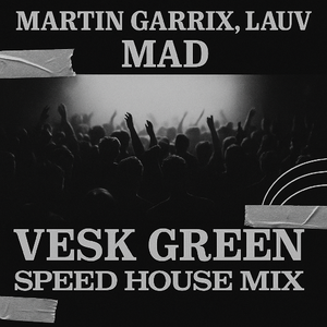MAD (VESK GREEN SPEED HOUSE MIX)
