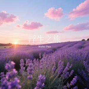 浮生之旅