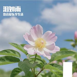 月光下的旧巷幽吟