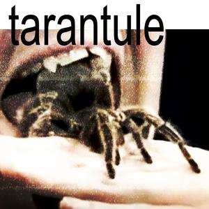 TARANTULE