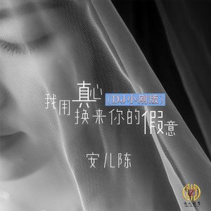 我用真心换来你的假意 (DJ小刚版)