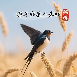 燕子归来人未归