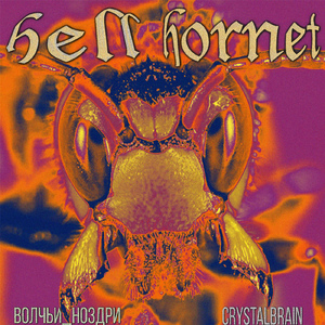 Hell Hornet