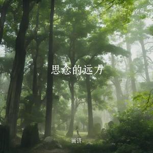 思念的远方
