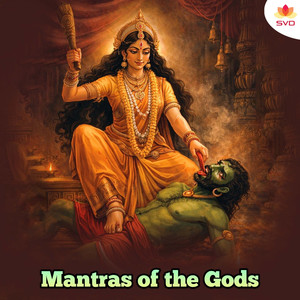 Vijay Patra Baglamukhi (Karaoke)