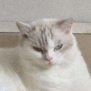 消息越往上越爱