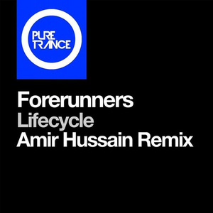Lifecycle (Amir Hussain Remix)
