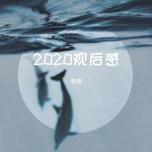 毒猫毒猫-2020观后感（张聪 remix）