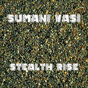 Stealth Rise (Original mix)