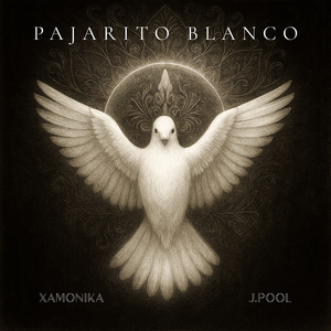 Pajarito Blanco