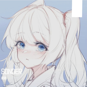 sonder（Cover 司南）