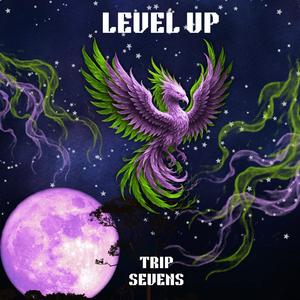 Level Up