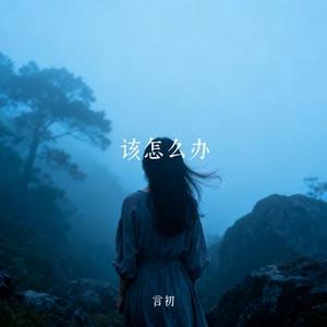 该怎么办  (言初 Remix)