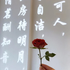 一个人的星光（许静岚）(1).wav（翻自 木葱葱）