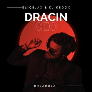 DRACIN CEO