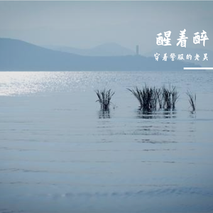 醒着醉