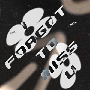 I FORGOT TO MISS YOU
