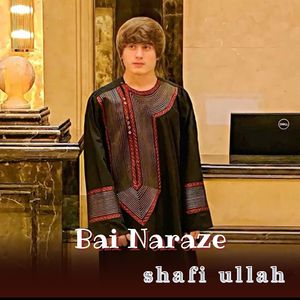 Bai Naraze