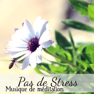 Sons de la nature (Musique de détente)