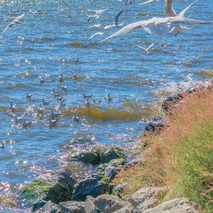 乌兰巴托的夜(丹正母子版)