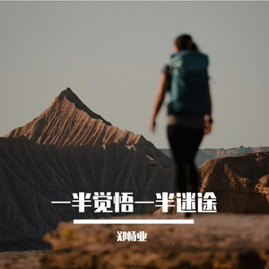 一半觉悟一半迷途