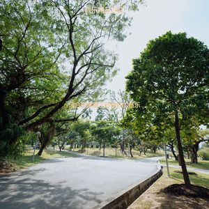 适合在家里工作愉悦的音乐