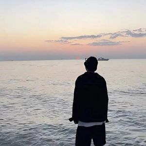 纯音乐 (690)