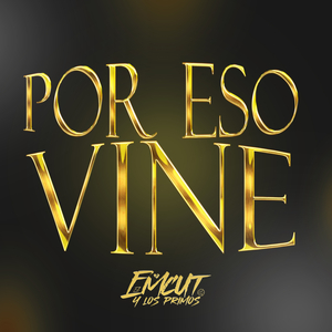 Por Eso Vine