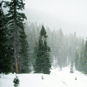 幸福圣诞小夜曲