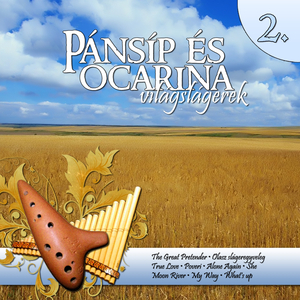 The great pretender (Freddie Mercury cover)