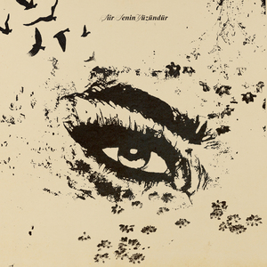 Şiir senin yüzündür