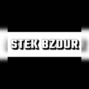 Stek bzdur