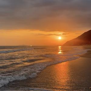 海鸥（女声cover逃跑计划）