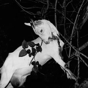 【BEAT】“聆”Japanese drak trap×jersey club