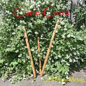 Cane-Cane